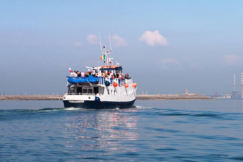 Dublin: Dun Laoghaire Dalkey Island Boat Cruise Dublin: Dun Laoghaire Dalkey Island Boat Cruise Midweek