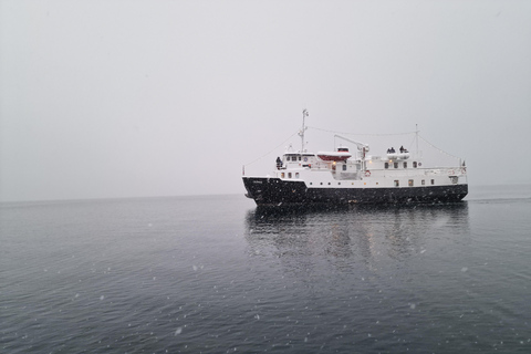 Tromsø: Classic arctic fjord cruise with lite lunch