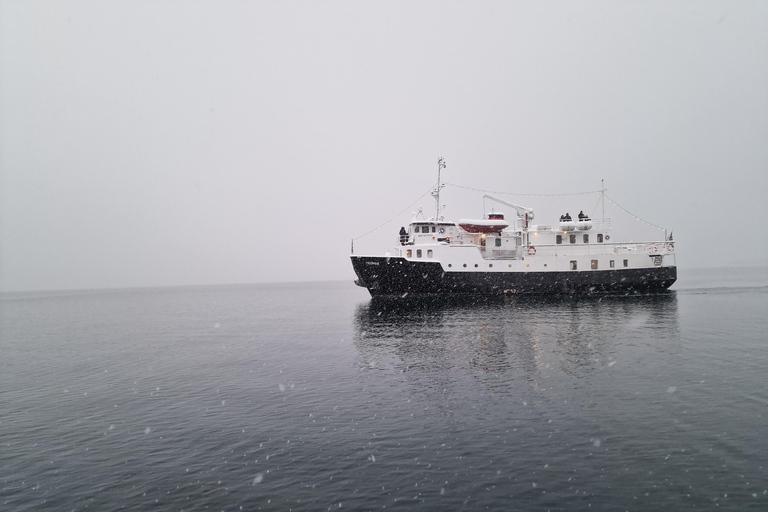 Tromsø: Classic arctic fjord cruise with lite lunch