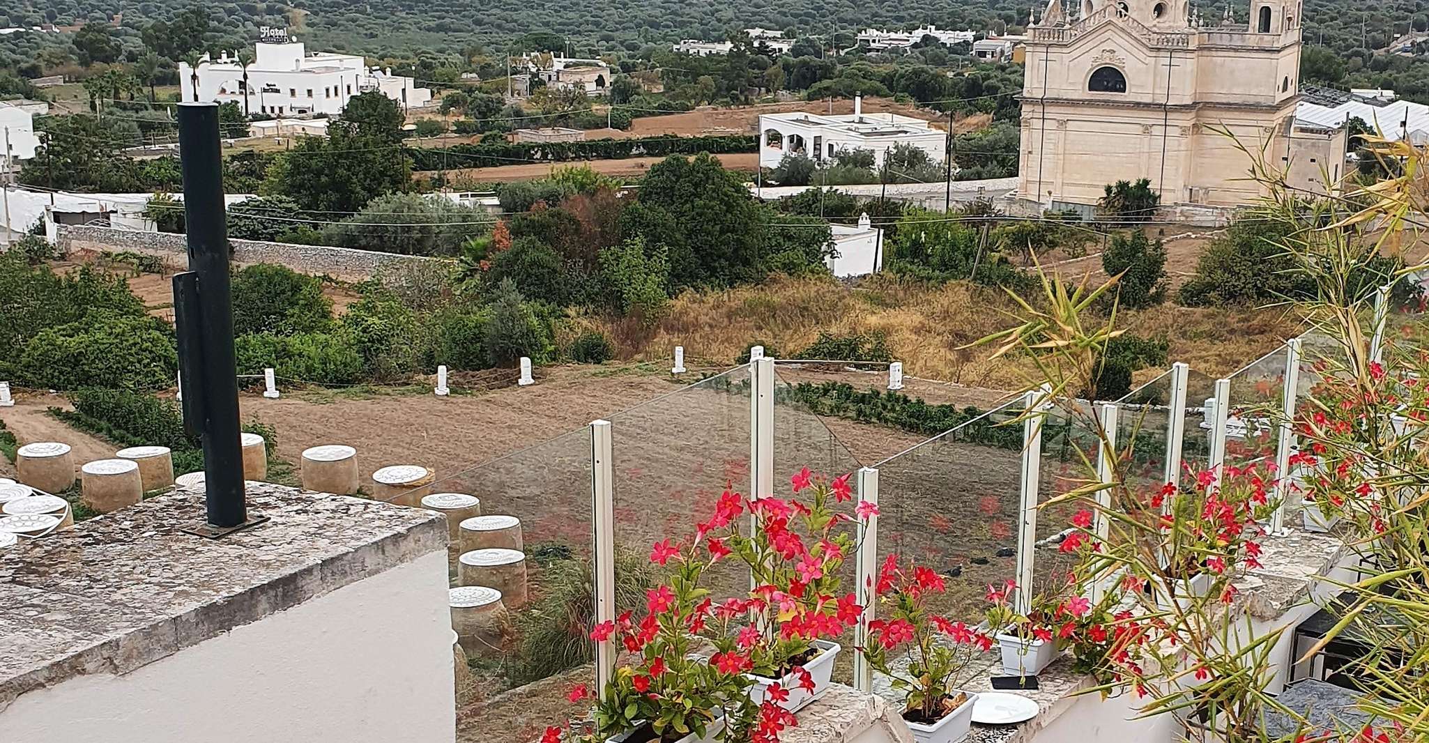 Ostuni: Alberobello, Locorotondo, Ostuni & Apulian brunch photo 12