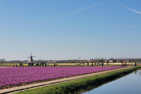 Amsterdam: Ultimate 7-Day Private guided Netherlands tour