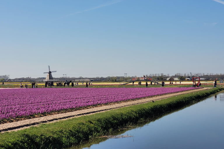 Amsterdam: Ultimate 7-Day Private guided Netherlands tour