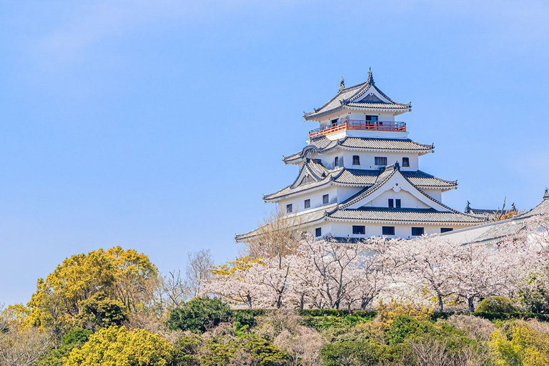 Nagoya: Ceramic Coast & Forgotten Islands Tour