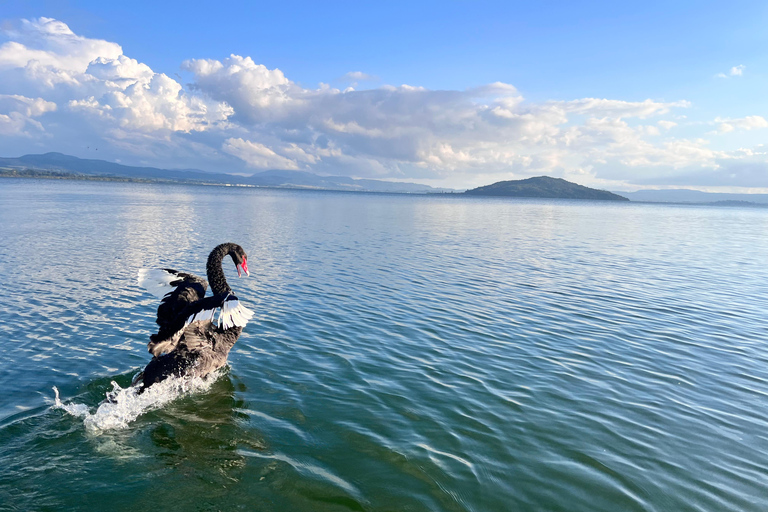 Rotorua, Lake Rotoiti: Jet Ski Tour with Hot Pools Entry Lake Rotoiti Jet Ski Tour with Hot Pools Entry