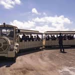 Cagliari: Museo delle saline Conti Vecchi e tour in treno