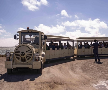 Conti Vecchi Salt Flats Train and Tour