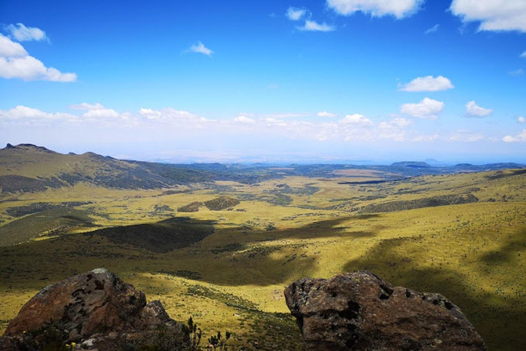 内罗毕：3日阿伯达雷国家公园经济型Safari内罗毕：3天阿伯达雷国家公园经济型Safari之旅