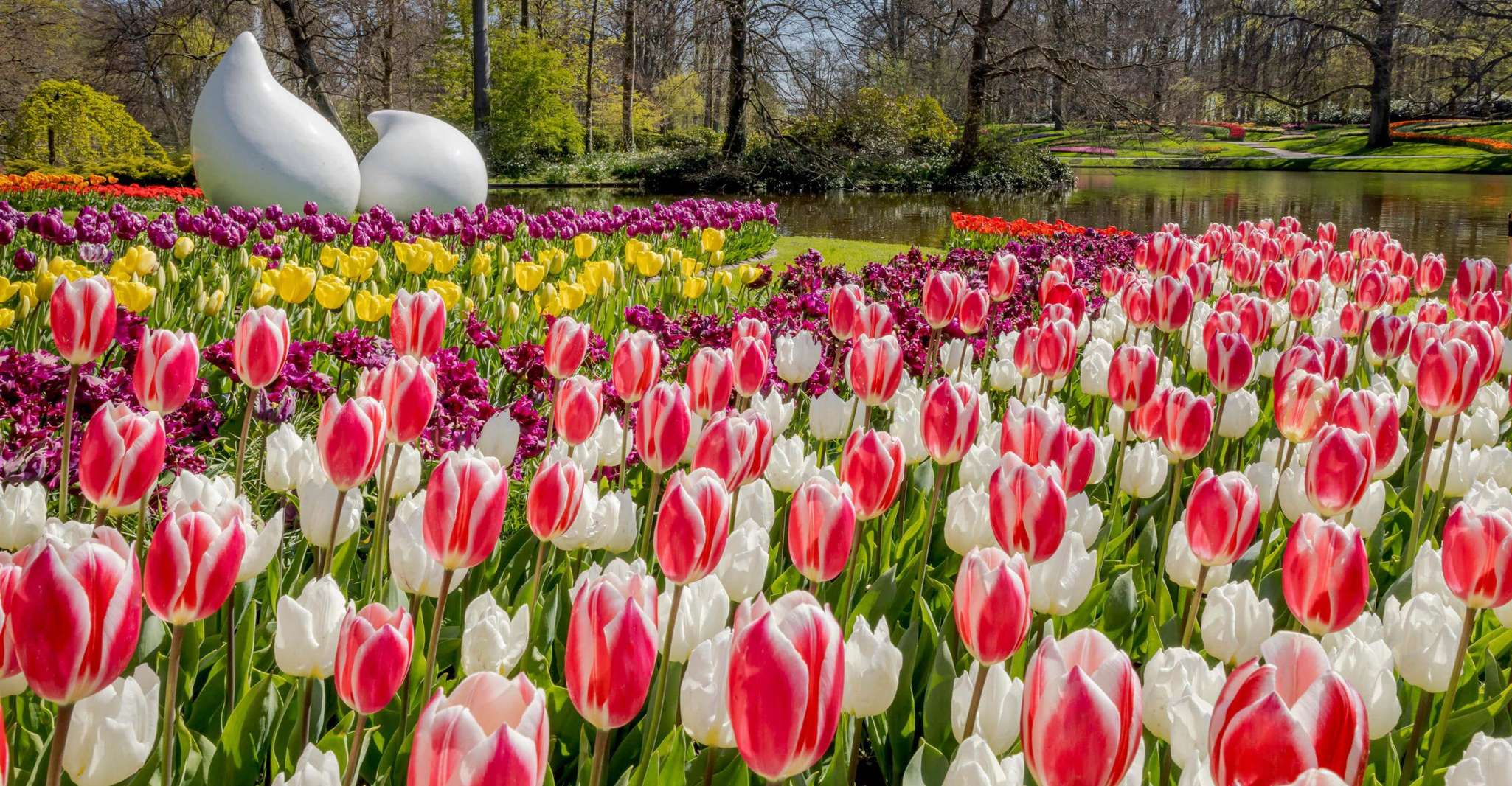 From Amsterdam, Keukenhof Entry and Roundtrip Shuttle Bus - Housity