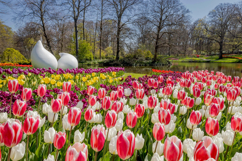 Amsterdam: Keukenhof Entree en Pendeldienst heen en terug