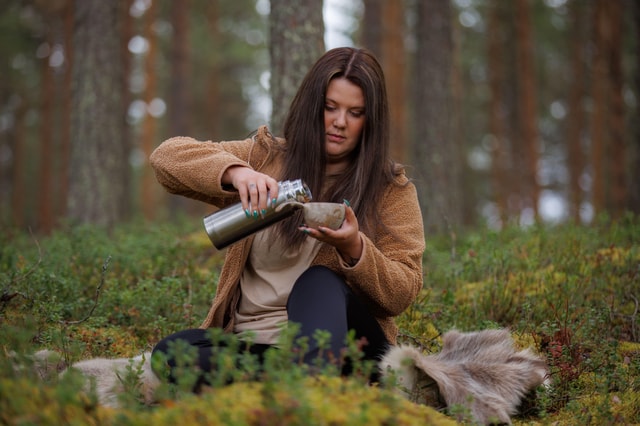 Rovaniemi: Embrace the Forest: Guided Nature Experience