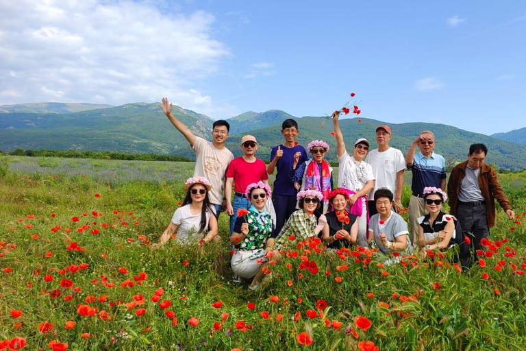 2026 Kazanlak Rose Festival Group Tour Accommodation in triple rooms
