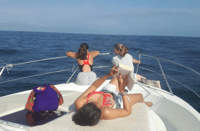 Zumaia, Flysch, Game of Thrones e Dragonstone Yacht Tour - Housity