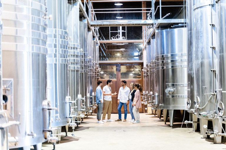 From Toledo: Guided Walking Tour, Winery Visit and Tasting Only Winery Visit - Spanish Guide