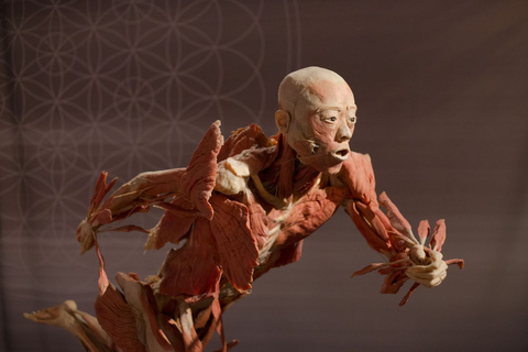 Las Vegas: REAL BODIES at Horseshoe Las Vegas Entry Ticket REAL BODIES Entry Ticket - Peak 7$ OFF