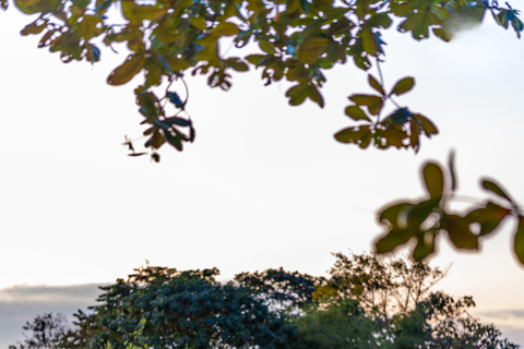 Hue After Dark: A Night of Flavors, Music & River Lights Private Transfer + Dinner