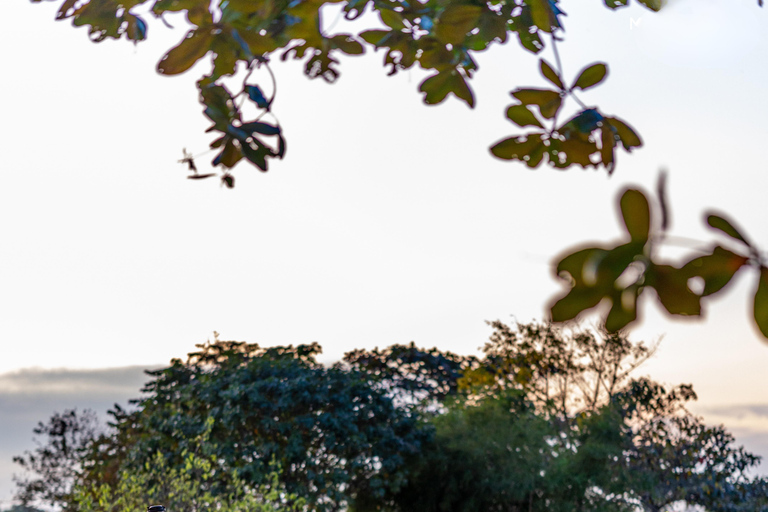 Hue After Dark: A Night of Flavors, Music & River Lights Private Transfer + Dinner