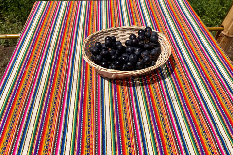 De Ica ou Huacachina: Pisco, vinho e buggy ao pôr do sol