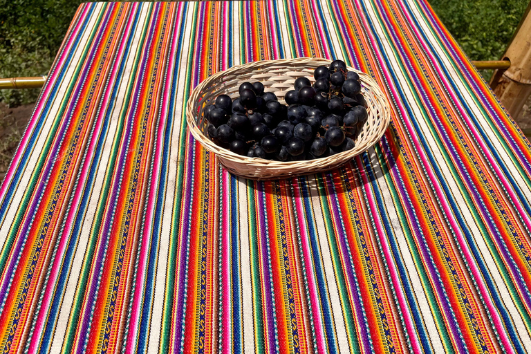 De Ica ou Huacachina: Pisco, vinho e buggy ao pôr do sol