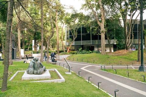 Mexico City: Modern Art Museum with Art Experts