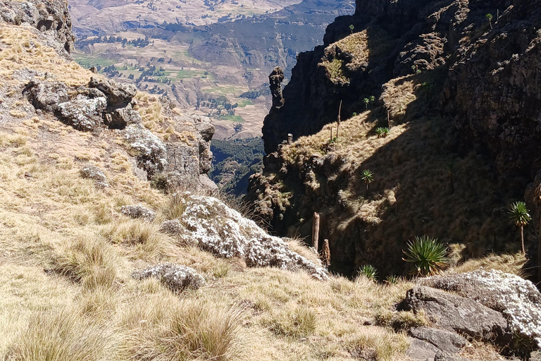 Nordäthiopien erkunden: 17-tägige Tour