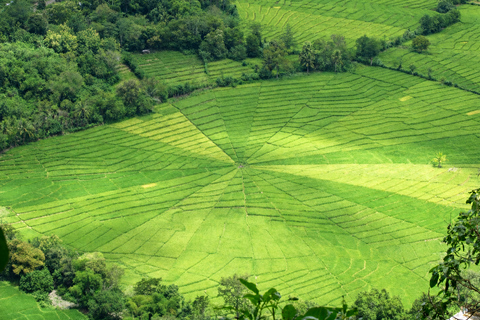 Labuan Bajo: Waterfalls, Rice Fields, and Village Tour