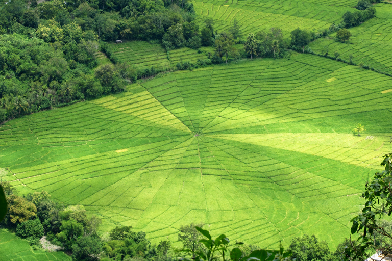 Labuan Bajo: Waterfalls, Rice Fields, and Village Tour