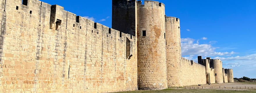 Au départ de Montpellier : Visite de la Camargue et d'Aigues-Mortes