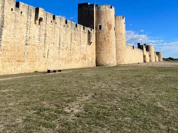 De Montpellier: Visita a Camargue e Aigues-Mortes