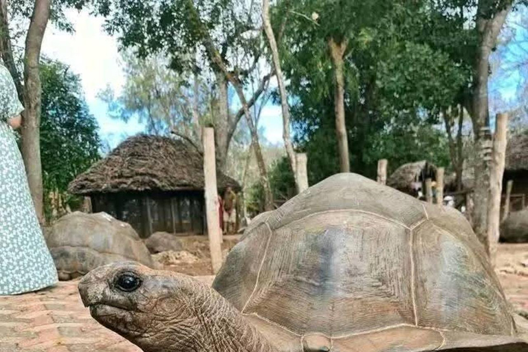 桑给巴尔：监狱岛私人观光（含观赏乌龟）桑给巴尔：监狱岛私人观光