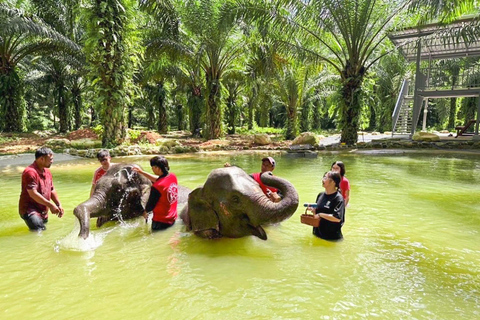 KhaoLak :White Water Rafting ,Monkey Cave, Elephant Bathing