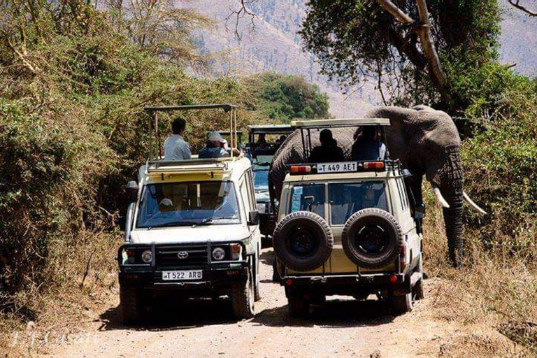 Zanzibar: Tarangire Nationaal Park en Ngorongoro Krater Tour