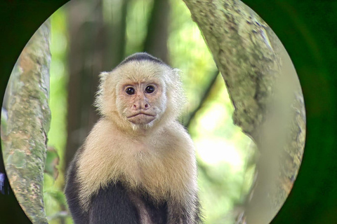 Z San José do Parku Narodowego Manuel Antonio - wycieczka z przewodnikiem