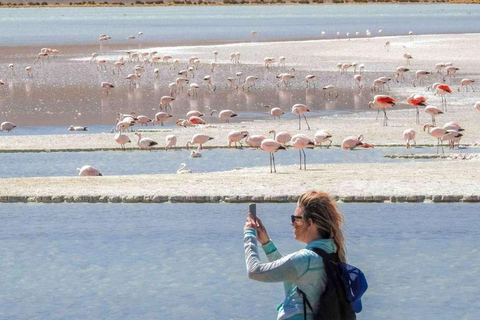 From San Pedro de Atacama: 3 days to Uyuni Salt Flat