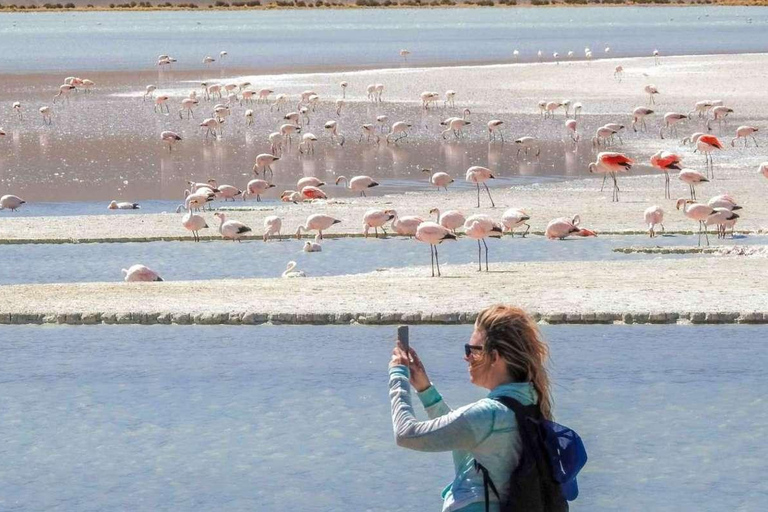 Depuis San Pedro de Atacama : 3 jours d&#039;excursion dans les salines d&#039;Uyuni