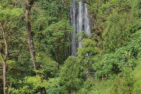 Materuni Waterfall Day Trip From Arusha/Moshi