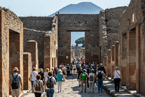 From Naples Pompeii & Mount Vesuvius Smart Tour with Tickets