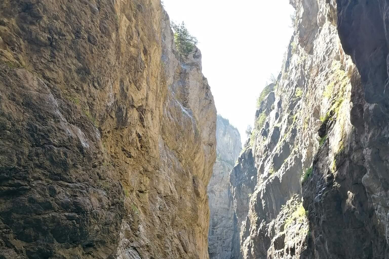 Interlaken: Grindelwald and Glacier Gorge Private Tour