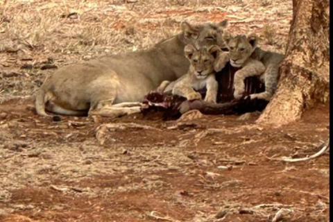 Von Mombasa/Diani: 3-tägige Tsavo Ost und Amboseli Safari3 Tage Tsavo Ost und Amboseli