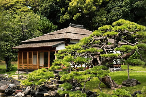 From Tokyo: Local Private experience to Toyosu Market & AEON