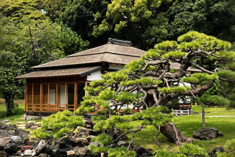 From Tokyo: Local Private experience to Toyosu Market & AEON
