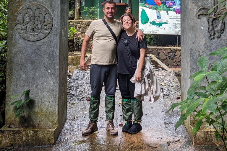 Negombo: 2-Day Sinharaja Rainforest Private Trip