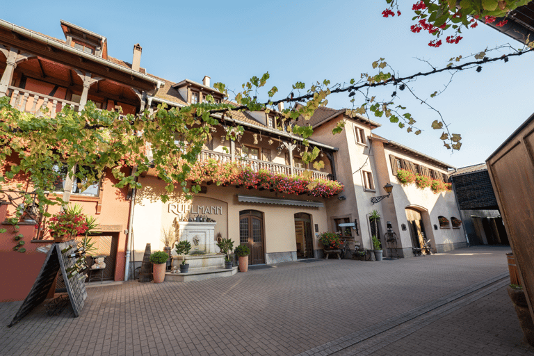 Alsace gourmande: Cellar visit and snack tasting