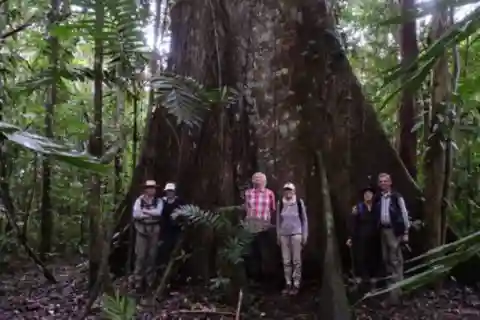 San Cristobal: 2 Days in the Southern Selva Lacandona Tour