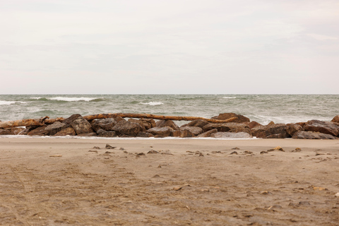 Aigues-Mortes 3H: Discover the secret Camargue in a 4x4 Full-Day