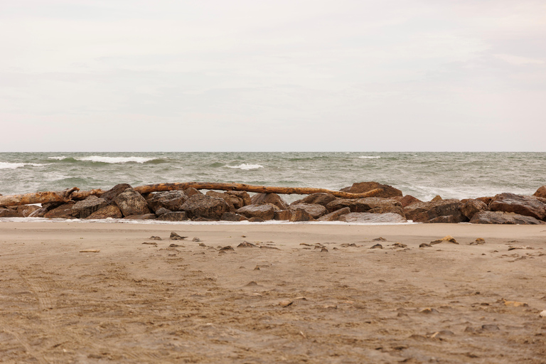 Aigues-Mortes 3H: Discover the secret Camargue in a 4x4 Full-Day