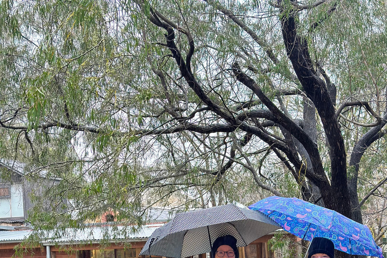 Adelaide: Mezza giornata di visite alla città, al monte Lofty e a HahndorfAdelaide: tour di mezza giornata tra le attrazioni della città, il monte Lofty e Hahndorf