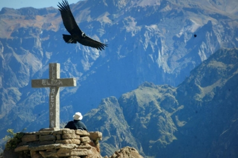 Arequipa: Colca Valley and Condor Viewpoint 2 Days/1 Night