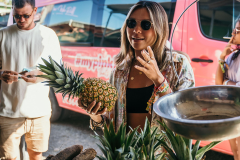 Gedeelde pendelbus van Panama Stad naar Playa VenaoPendeldienst van Panam naar Playa Venao