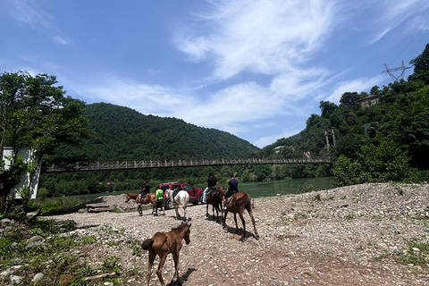 Excursão de 1 dia de Batumi para as cachoeirasExcursão de 1 dia de Batumi às cascatas