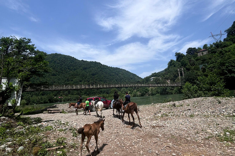 Excursão de 1 dia de Batumi para as cachoeirasExcursão de 1 dia de Batumi às cascatas